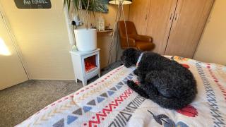 Bombel's Cottage - Barmston - 9