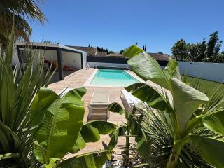 Villa Palmiera with pool, Alpilles, Provence - Maillane - 8