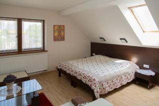 Rekreačný dom SISI - Podhájska - 9