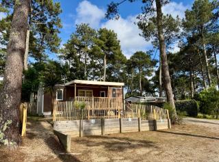 Un toit sur le bassin vue Foret - Lège-Cap-Ferret - 3