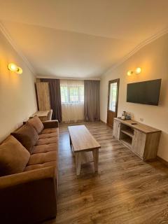 Ojakh Resort - Ijevan - 2