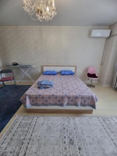 Altynai Apartment - Alma-Ata - 5