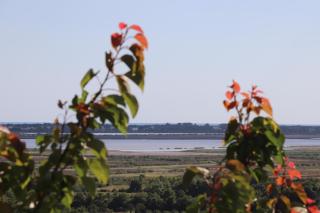 Panorama Hill Apartments Ulcinj - Ulcinj - 6