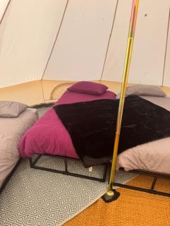 Hill Fruit Farm Glamping - Trunch - 5