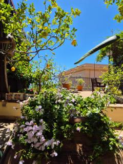 Casa Francesca Apartment - Taormina - 5