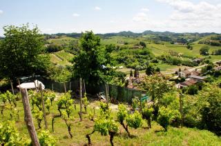 Il Casale Del Roero - 7