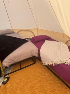Hill Fruit Farm Glamping - Trunch - 9
