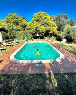 B&B Il Casale Del Ginepro - Migliano - 4