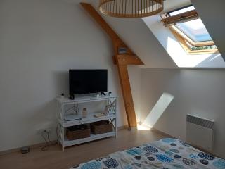 Catzen - Pleurtuit - 6