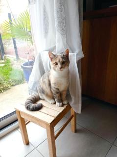Catzen - Pleurtuit - 2