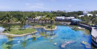 2b 2ba home is situated on a prime corner lot N564 - Jensen Beach - 7