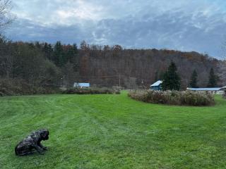 Godspeed Events and Lodging - Port Matilda - 4