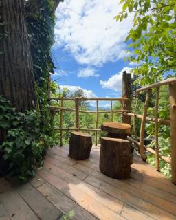 Rivendell Treehouse - Chiozza - 3