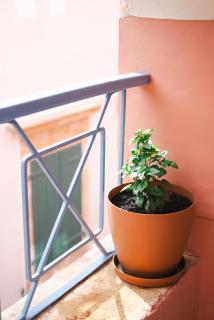 Authentic Suites in Fiscardo (Archontiko) - Fiskardo - 5