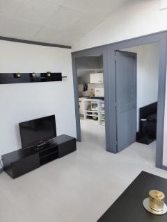 Joli Appartement hyper centre Grenoble - Grenoble - 0