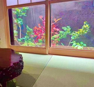 楓の宿1号館 - Osaka - 9