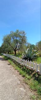 Villa Celestina - Vetralla - 2