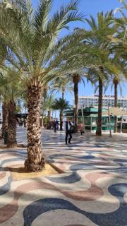 Moon apartments - Alicante - 2