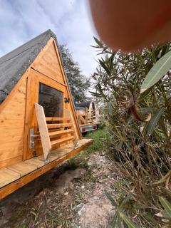 Cabane Canadienne - Saint-Savin - 1