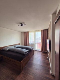 Apartmán v centre mesta Levice - Levice - 5