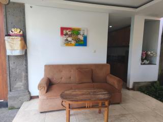 De'Cupit Villa - Ubud - 1