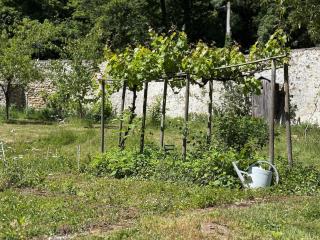 Charming house with pool and private forest - Boisemont - 7