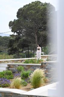 Pefki Luxury Suites - Telendos - 5