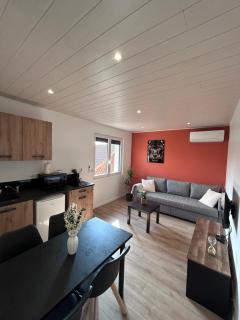 Appartement proche zenith "mizo" - 2