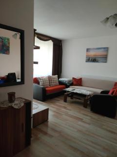 48 qm Whole Apartment to rent out near INI and MHH - 3