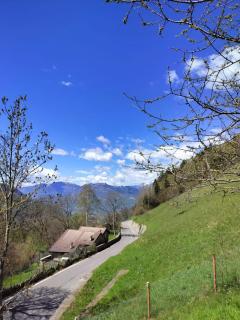Eco Mountain Green House - Bienno - 7