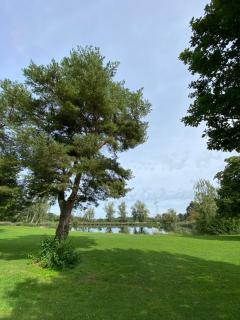 Tiny House, deine nachhaltige Unterkunft - 6