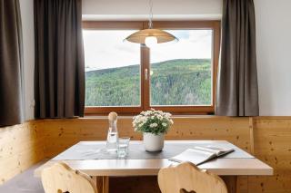 Forchnerhof Apt Rose - Maranza - 8