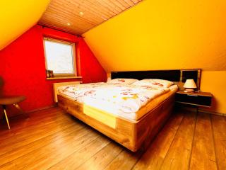 Sonnenblume - Sonne 2 rechts - Zingst - 1