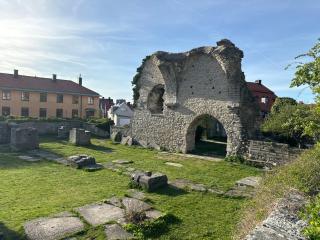 Comfortable 1-bedroom APTw with Gotland decor in V - Visby - 4