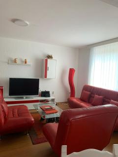 SAN 1 apartman - Soko Banja - 8