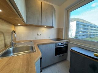 Zentral gelegenes Apartment für Ihren Urlaub in Bad Reichenhall - Bad Reichenhall - 0