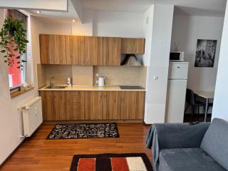Apartament Bogdan 2 Ared - Arad - 1