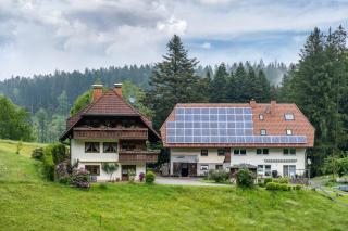 Schreinerhäusle nähe Titisee - Himmelreich - 9