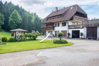 Schreinerhäusle nähe Titisee - Himmelreich - 8