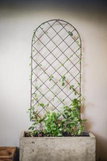 Vygeboom Villa/ Durbanville - Città del Capo - 9