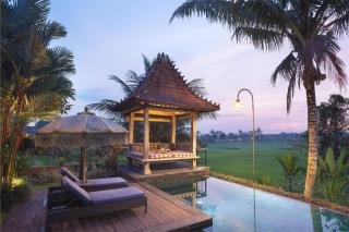 The Joglo at Umah Sunset - 2