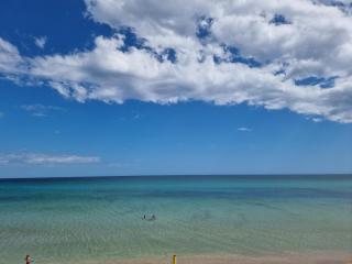 B&B Salvo e Terry - 2