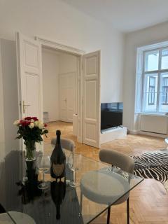 Luxury 1st district apartment - Viena - 2