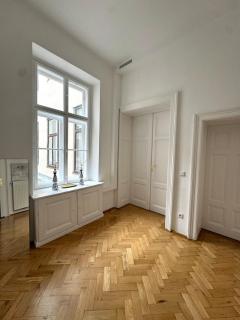 Luxury 1st district apartment - Viena - 1