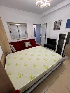 Rajs Apartment - Tirana - 5