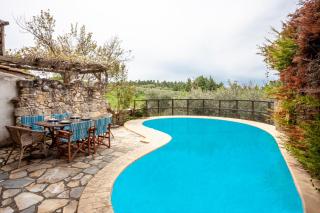 Forest stone Villa with pool - Kriopigi - 0