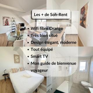 Soh Rent Appartment 3 Schiltigheim TV Wifi - 9