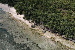 Private home in Panglao near white beaches with 600 Mbps WiFi & Solar - Dauis - 2