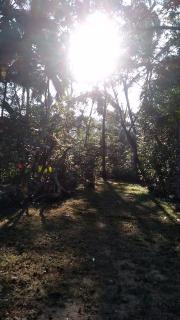 Home stay - Elpitiya - 0