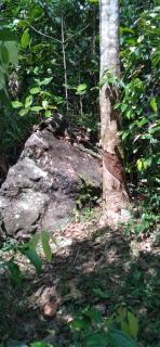 Home stay - Elpitiya - 2